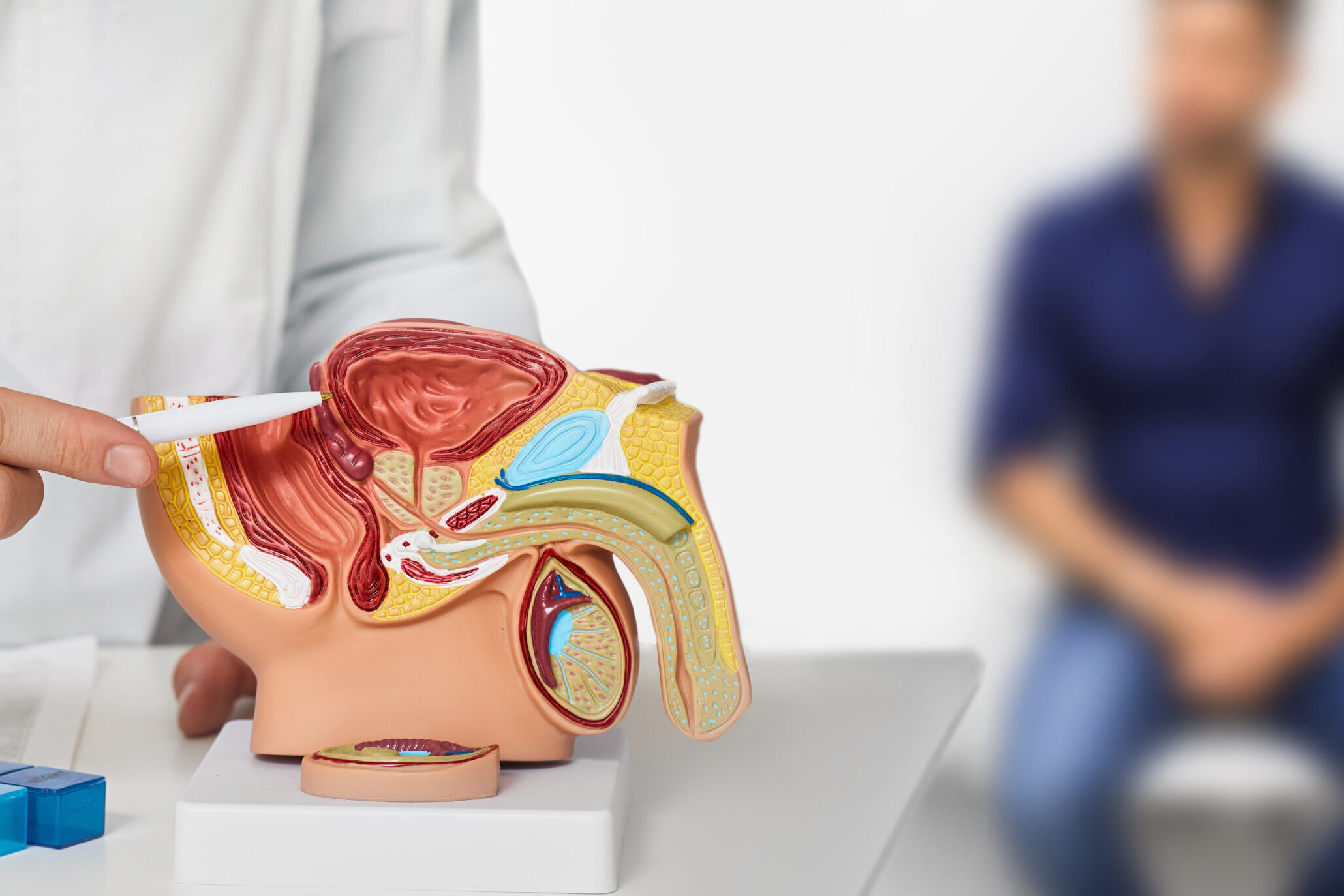 Haben Sie Blasen, Nieren, Prostata-Beschwerden? UROHEALTH / Urologie Frauenfeld, Dr. med. Anja Sauck, Telefon 052 721 39 46