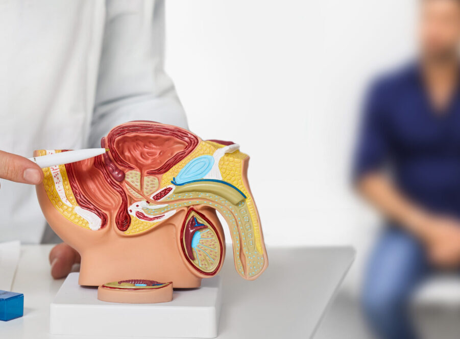 Haben Sie Blasen, Nieren, Prostata-Beschwerden? UROHEALTH / Urologie Frauenfeld, Dr. med. Anja Sauck, Telefon 052 721 39 46