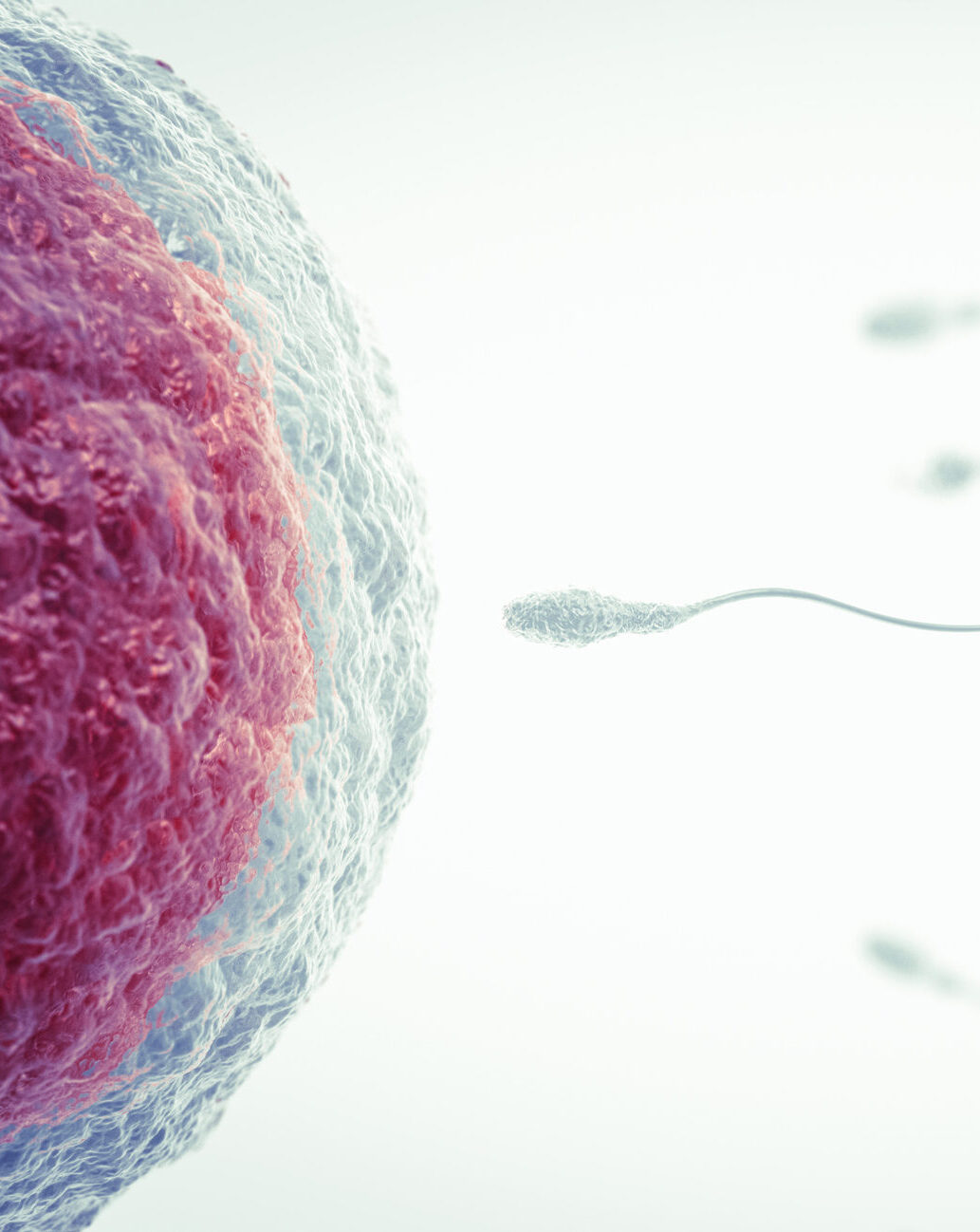 Urologie Frauenfeld - Dr. med. Anja Sauck - 8500 Frauenfeld - Telefon 052 721 39 46